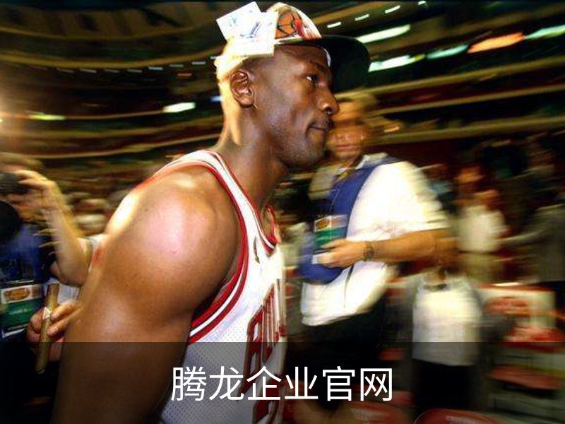 腾龙企业官网 - 网页版安全入口
